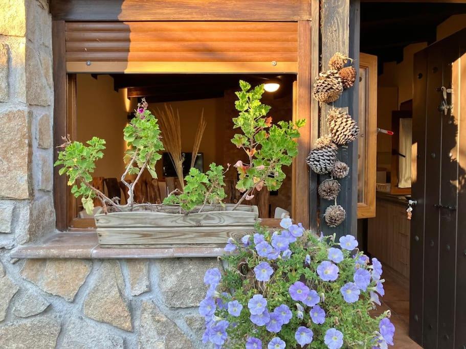 Casita Rural De Campo Con Jardin Privado Hébergement de vacances